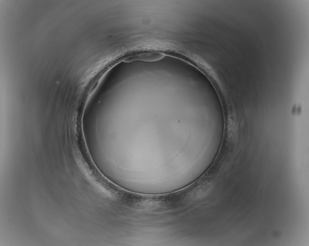 X0000111150581200906301339