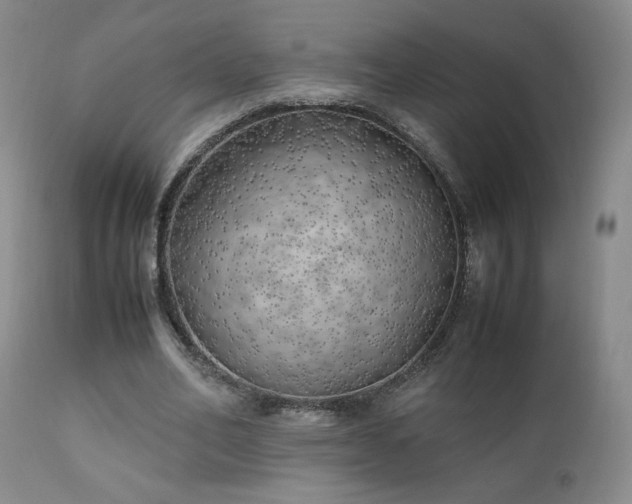 X0000111150582200906301339