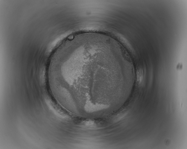 X0000111150588200906301339