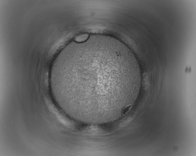 X0000111150589200906301339