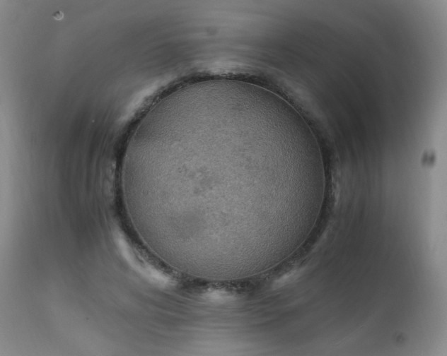 X0000111150592200906301339