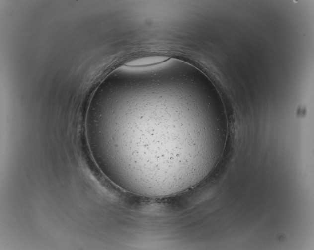 X0000111150593200906301339