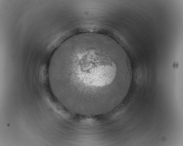 X0000111150594200906301339