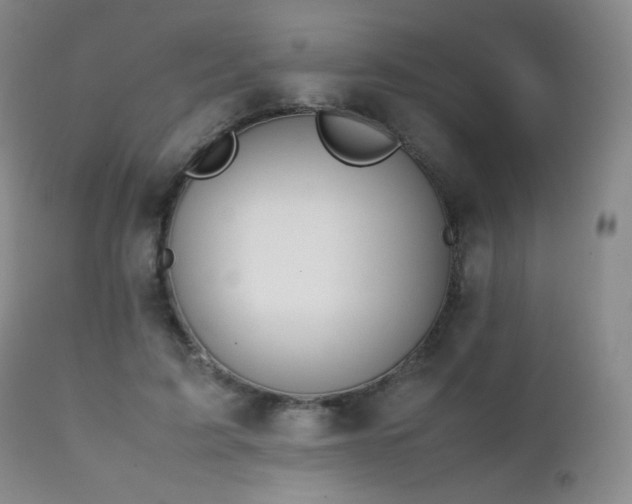 X0000111150595200906301339