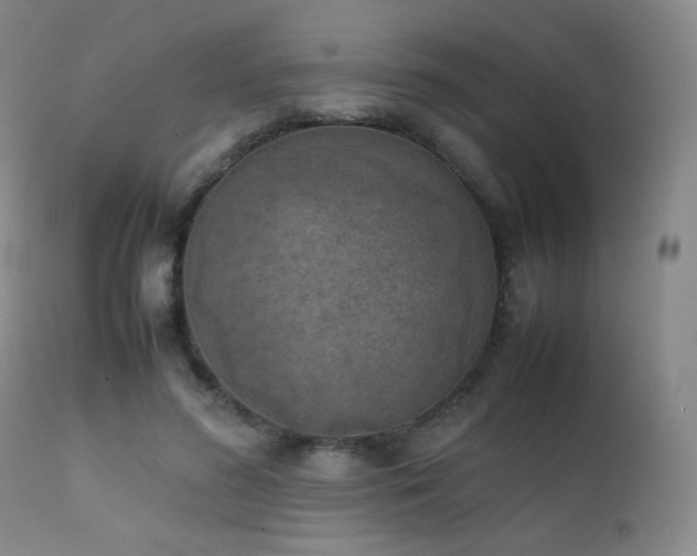 X0000111150596200906301339