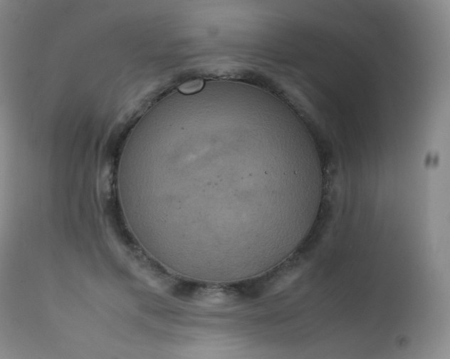 X0000111150597200906301339