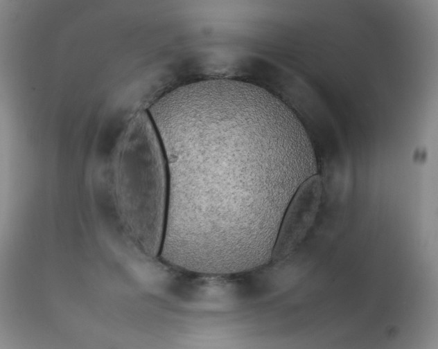 X0000111150601200906301339