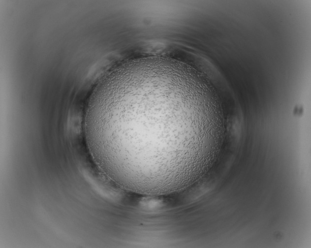 X0000111150602200906301339
