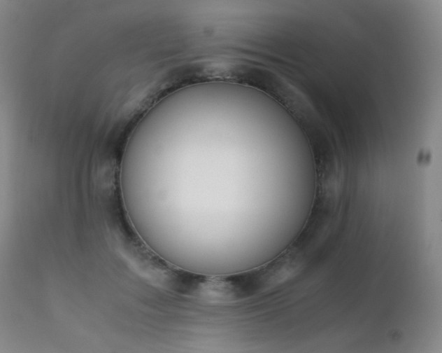 X0000111150603200906301339