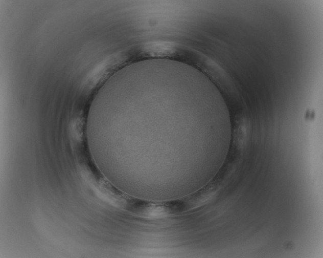 X0000111150604200906301339