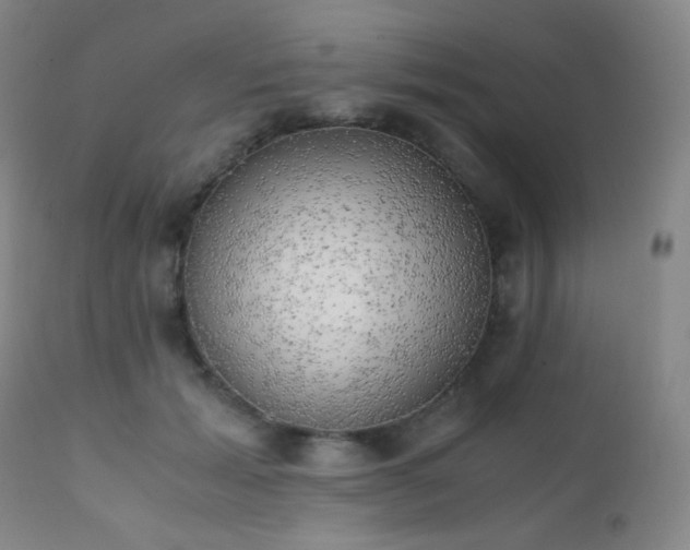X0000111150605200906301339