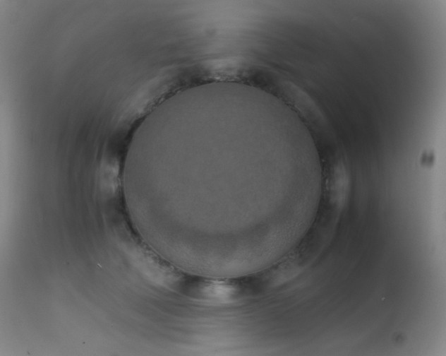 X0000111150610200906301339