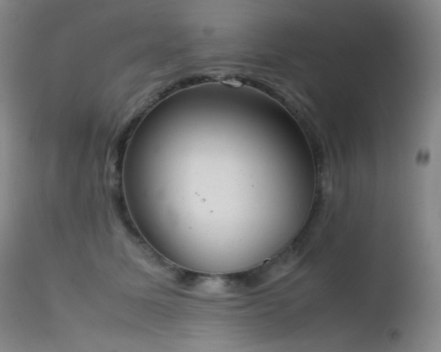 X0000111150611200906301339