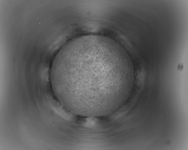 X0000111150612200906301339