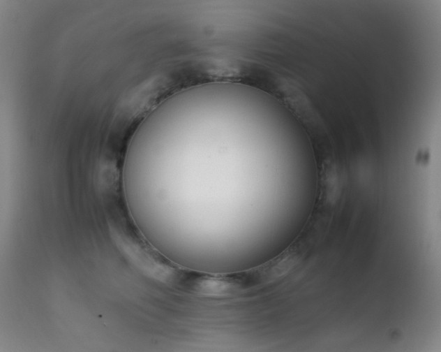 X0000111150614200906301339