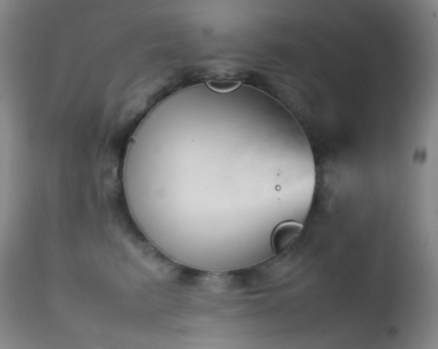 X0000111150615200906301339
