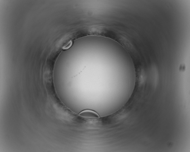 X0000111150619200906301338