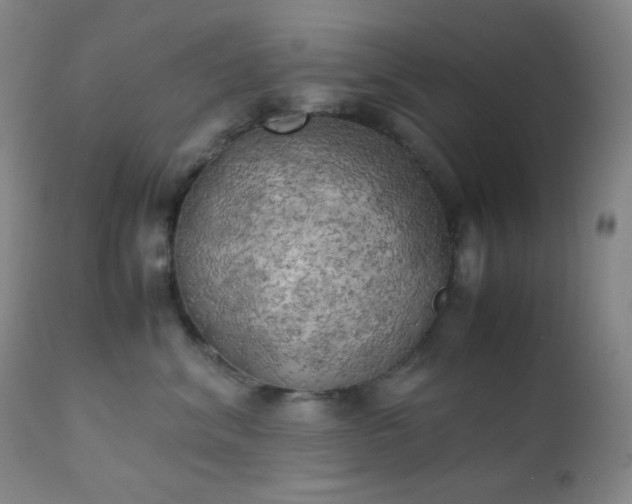 X0000111150620200906301338