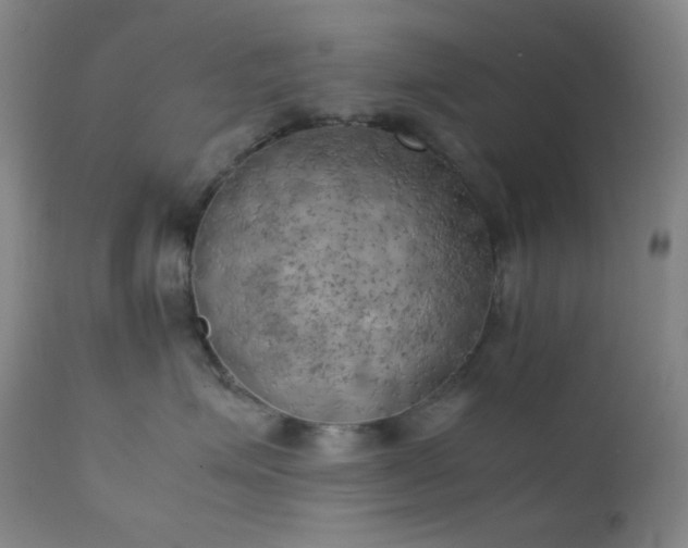 X0000111150623200906301338