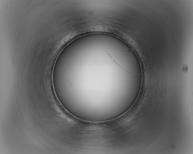 X0000111150625200906301338