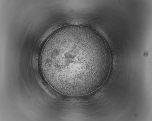 X0000111150626200906301338