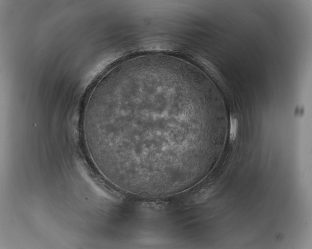 X0000111150627200906301338