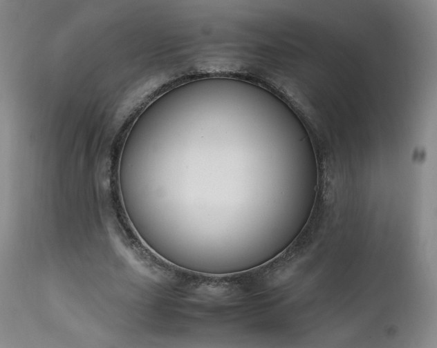 X0000111150631200906301338
