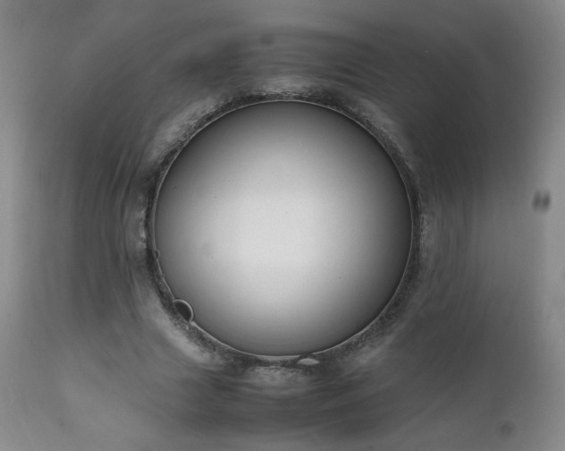X0000111150633200906301338