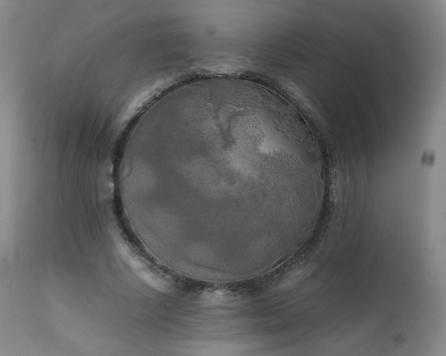X0000111150634200906301338