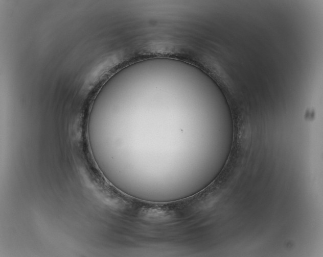 X0000111150635200906301338