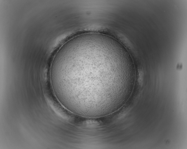 X0000111150636200906301338