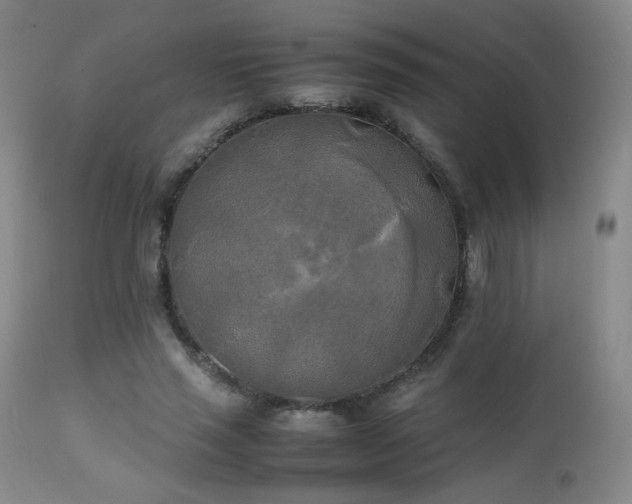 X0000111150637200906301338