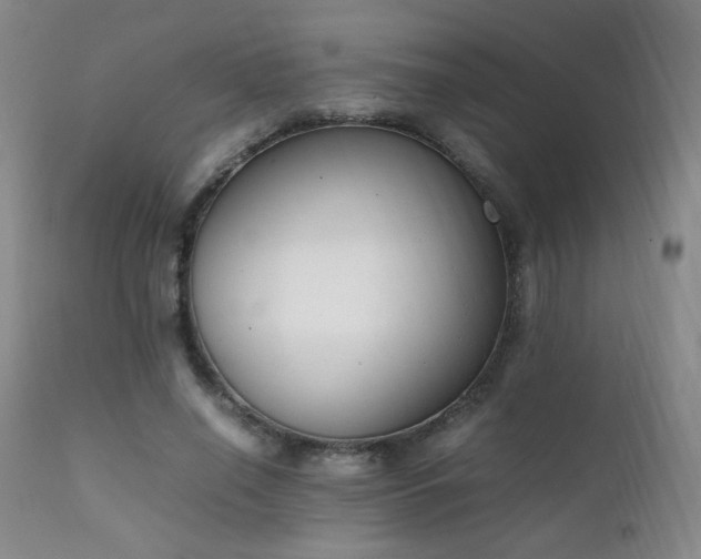X0000111150638200906301338