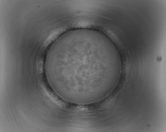 X0000111150640200906301338
