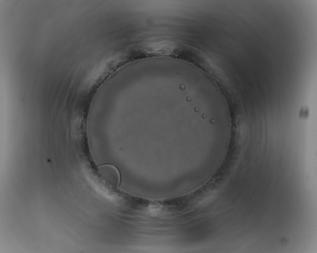 X0000111150641200906301338