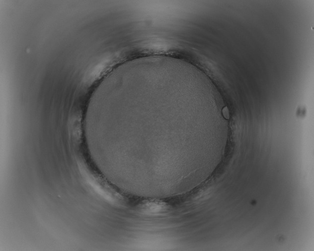 X0000111150642200906301338