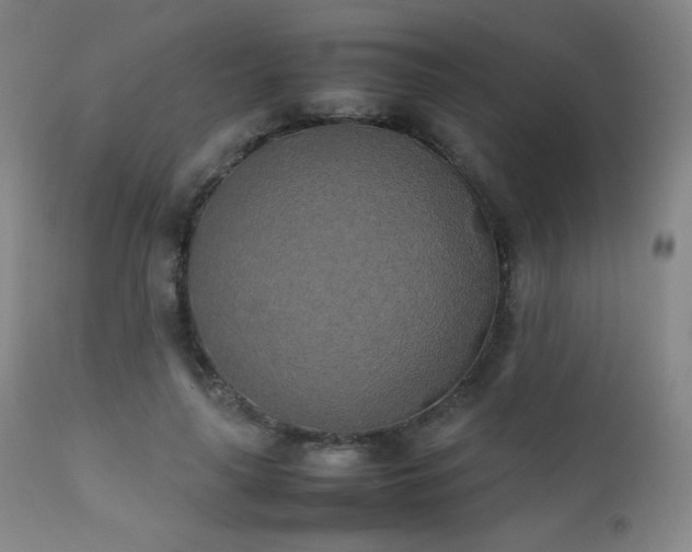 X0000111150643200906301338