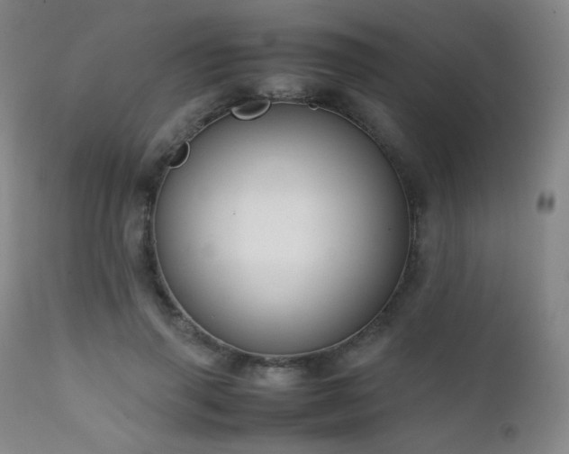 X0000111150645200906301338