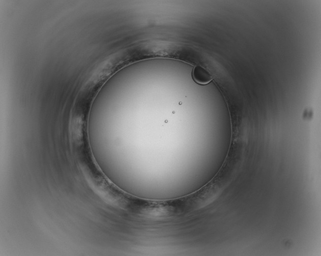 X0000111150646200906301338