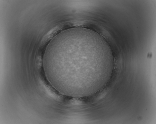 X0000111150648200906301338