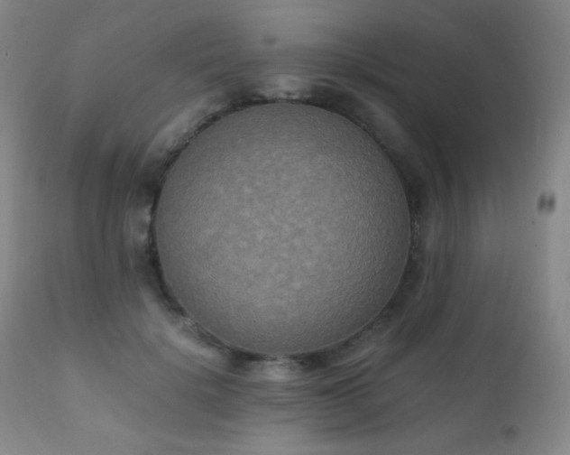 X0000111150652200906301338