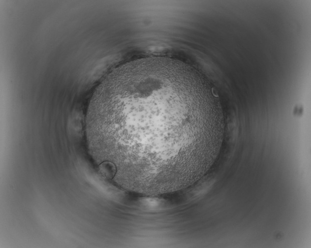 X0000111150654200906301338