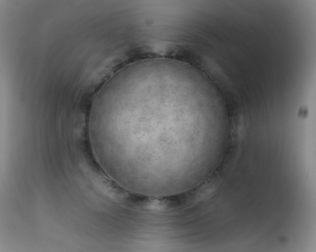 X0000111150656200906301338