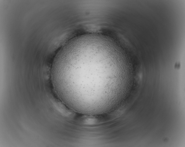 X0000111150658200906301338