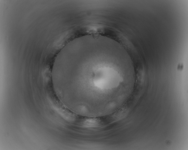 X0000111150659200906301338
