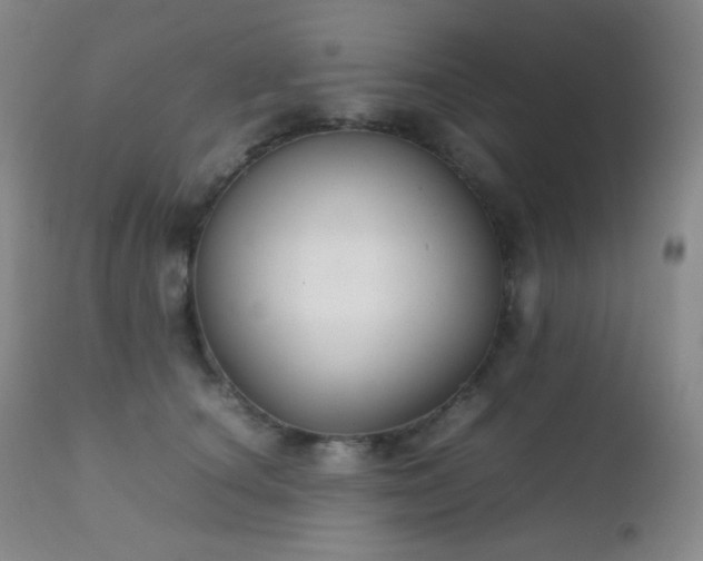 X0000111150660200906301338