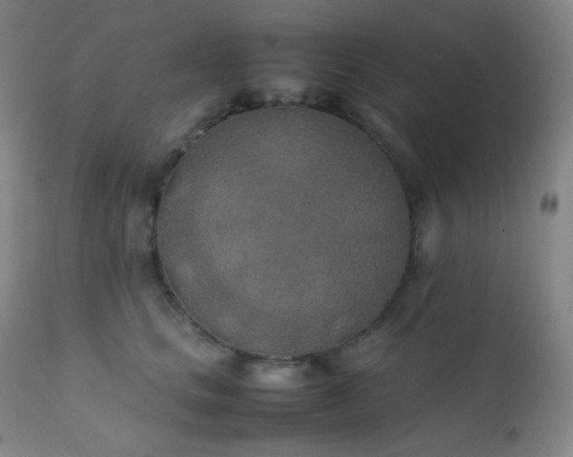 X0000111150661200906301338