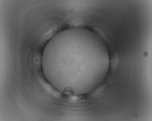 X0000111150662200906301338