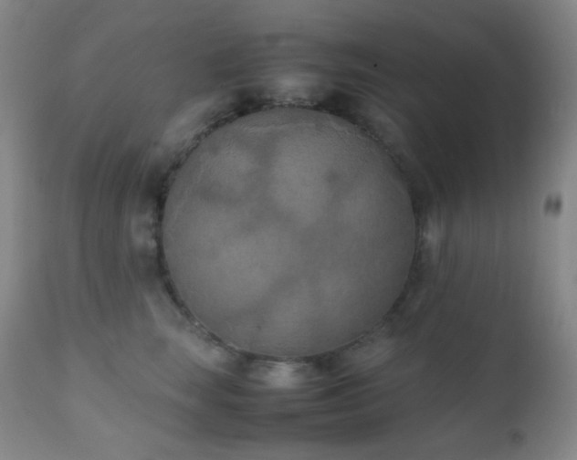 X0000111150663200906301338