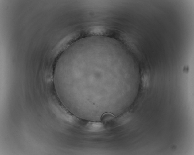 X0000111150665200906301338